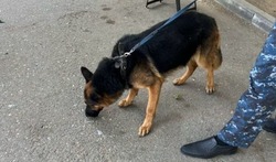 Сотрудники полиции Лиманского района изъяли запрещённое вещество
