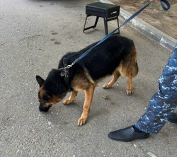 В Лиманском районе совершено два правонарушения